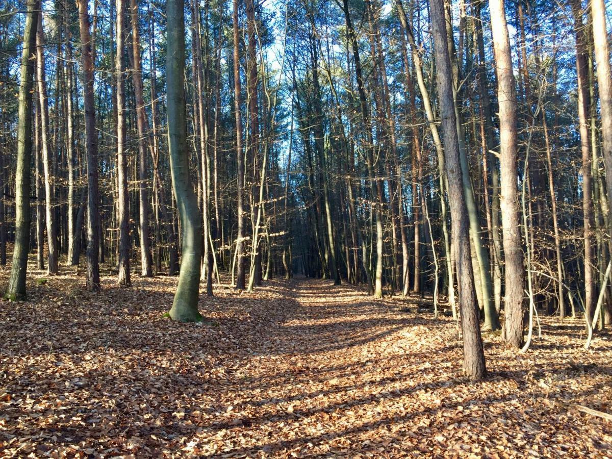 Waldfruhstuckspension Familie Toth Oberschützen 외부 사진