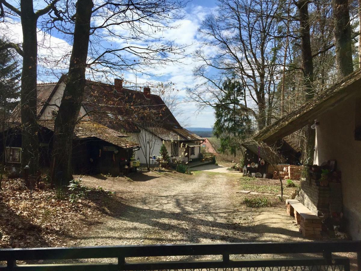 Waldfruhstuckspension Familie Toth Oberschützen 외부 사진